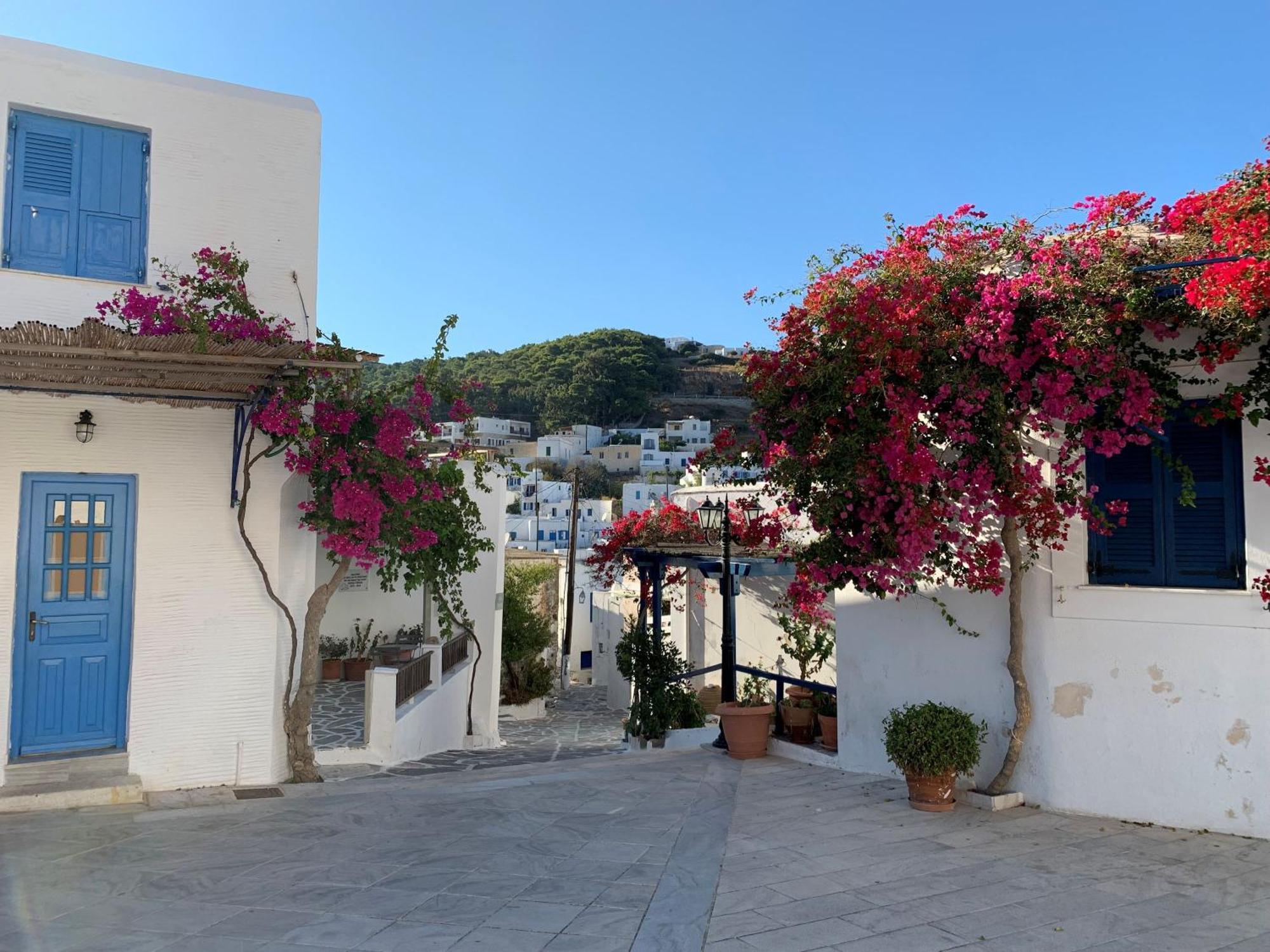 Avra Suite Bmvp Naousa Paros * Livadia (Paros)